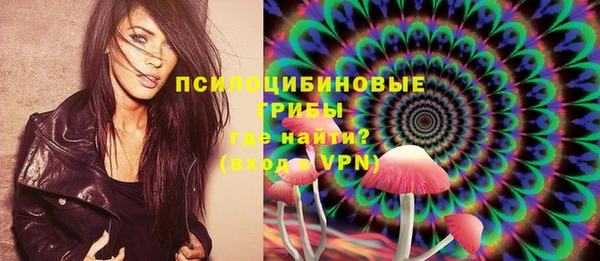 мдпв Верхний Тагил