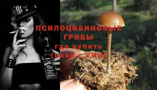 тгк Верея
