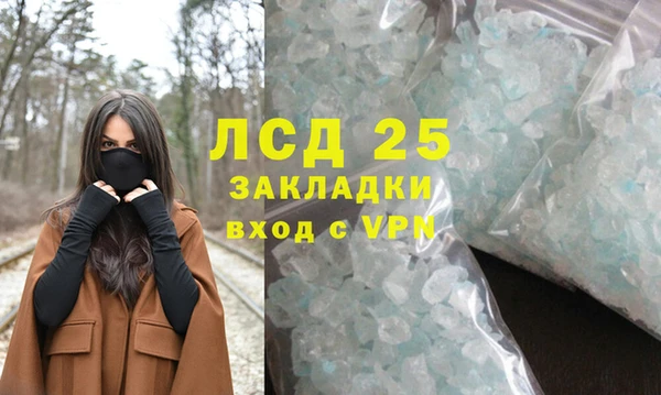 молекула духа Вяземский