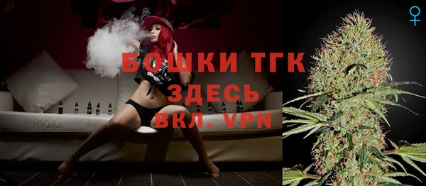 тгк Верея