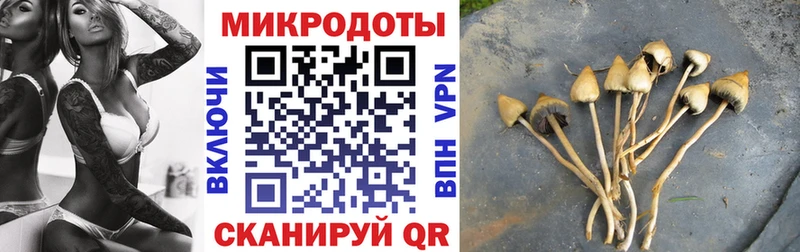 omg ссылка  Иланский  Галлюциногенные грибы Psilocybine cubensis 