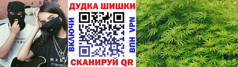 Канабис гибрид  Иланский 